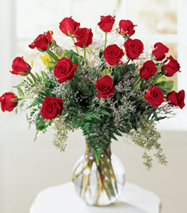 18 Red Roses In A Vase 