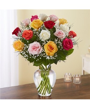 18 Rose Elegance™ Premium Long Stem Assorted Roses 