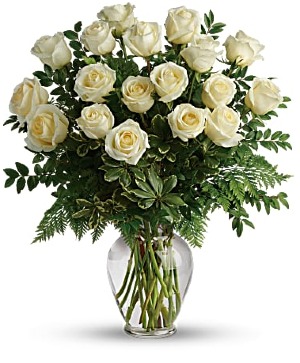 18 White Roses 