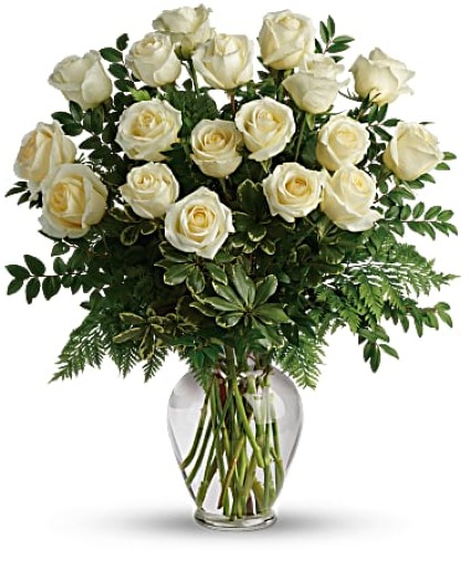 18 White Roses 