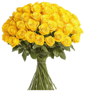 18 Yellow Rose Arrangement 