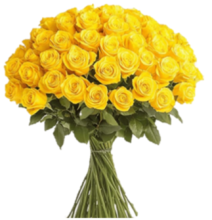 18 Yellow Rose Arrangement