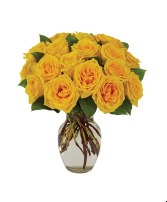 18 Yellow Roses 