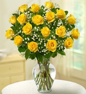 18 Yellow Roses  PREMIUM LONG STEM ROSES 
