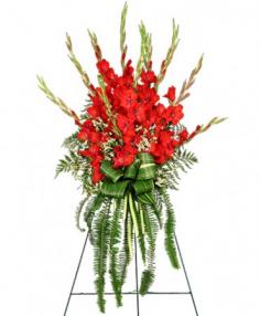Category Image