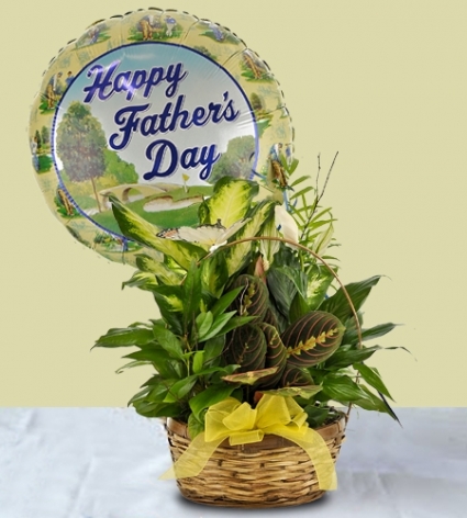 Dish Garden Plant with Mylar Balloon Father's Day