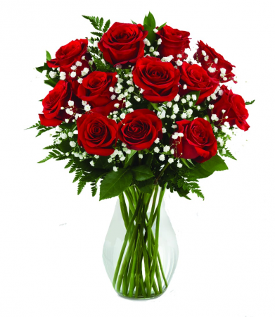 1dz red roses arranged in vase 