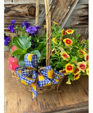 1st of the season garden basket basket of summer annual plants