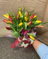 2 Bunches Wrapped Tulips Spring seasonal mix