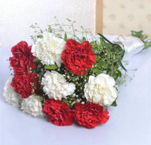 2 Dozen Carnation Mix Bouquet Wrapped 