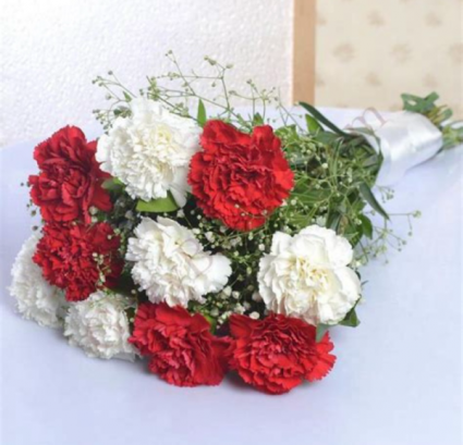 2 Dozen Carnation Mix Bouquet Wrapped 