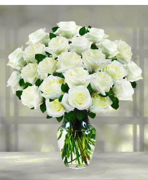 2 Dozen Delicate White 2 Dozen White Roses 