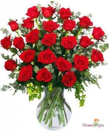 Luminescent SPECIAL OF THE WEEK Red Roses Bouquet in Miami, FL | FLOWERTOPIA