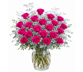 Two Dozen Hot Pink Roses 