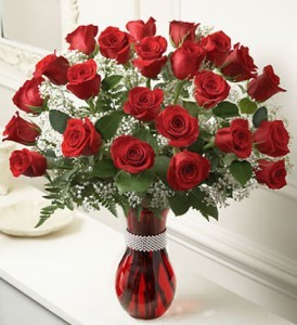 2 Dozen Long Stem Roses 25 Long Stem Red Roses In Mount Vernon Ny