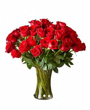 2 Dozen Long Stem Roses in a Vase  