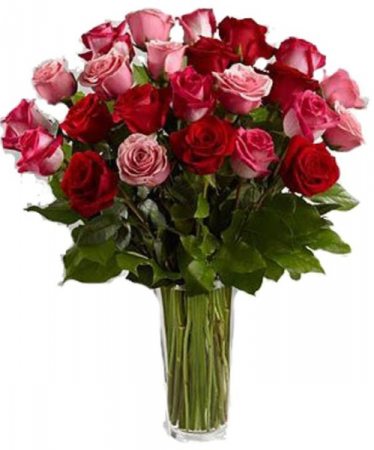 2 dozen Pink and Red  Rose Vase