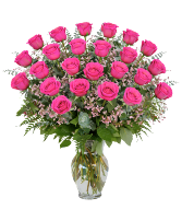 2 DOZEN PINK ROSES 