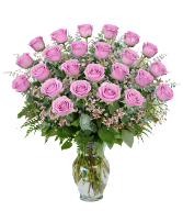 2 DOZEN PURPLE ROSES 