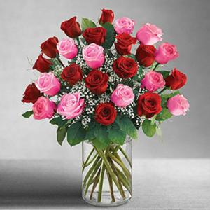 2 Dozen Red & Pink Long Stem Premium Roses 