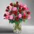 2 Dozen Red & Pink Long Stem Premium Roses 