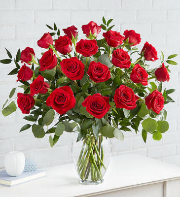 2 DOZEN RED ROSES