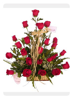 2 dozen red roses in basket