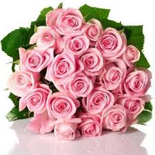2 dozen rose bouquet wrapped 