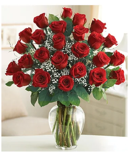 2 Dozen Roses in Vase Roses