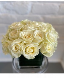 2 dozen white roses compact