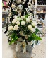 2 dozen white roses Roses