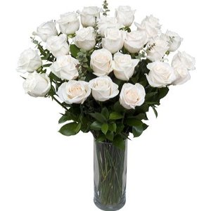2 Dozen White Sympathy Roses