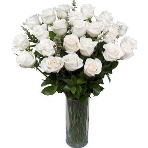 2 Dozen White Sympathy Roses 