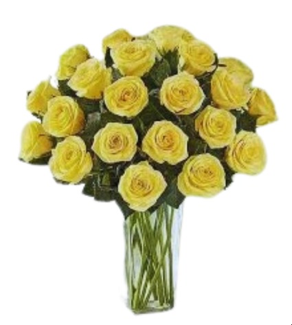 2 Dozen Yellow Rose
