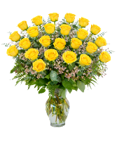 2 DOZEN YELLOW ROSES 