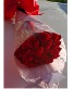 2 dozens premium roses Any occasion 