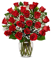 2 Dz Deluxe Red Roses Red Roses