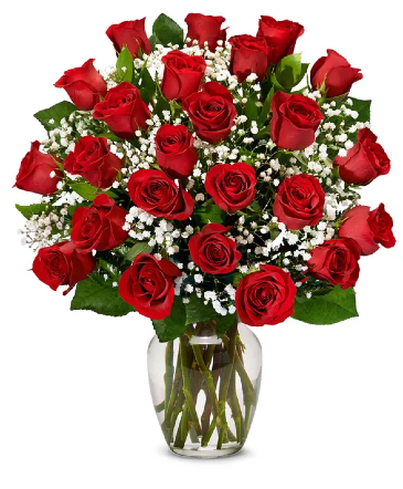 2 Dz Deluxe Red Roses Red Roses in Sarasota, FL | Bee Ridge Florist
