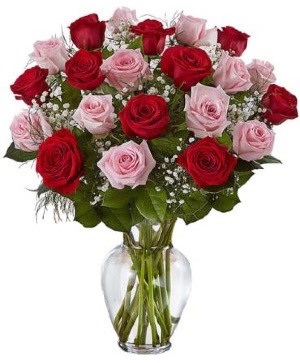 2 Dz. Red and Pink Roses 