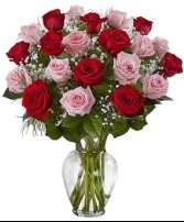 2 dz Red and Pink Roses Roses