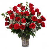 2 DZ Red Roses Roses