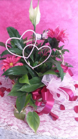2 Hearts Peace Lily