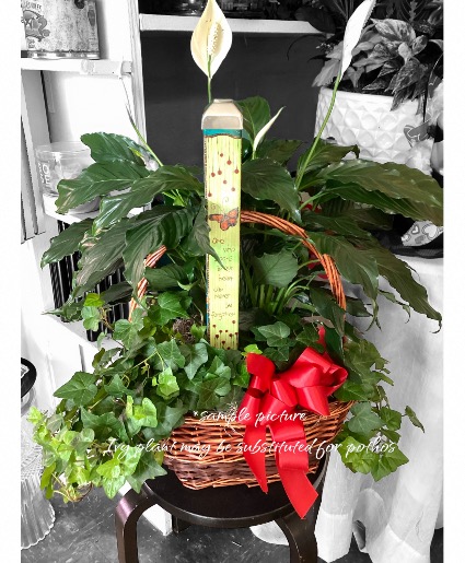 2 plant basket with 16” Art pole Plant