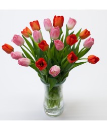 20 Assorted Dutch tulips in a vase Color of tulips may vary