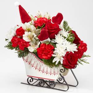 20-C4d Dashing thru the snow Christmas