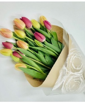20 DUTCH tulips wrapped 
