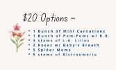 $20 Flower Options 