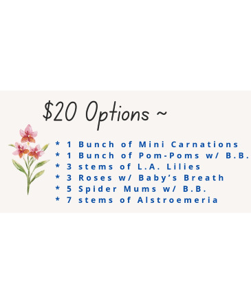 $20 Flower Options  in Croton On Hudson, NY | Marshall's at Cooke's Flowers