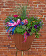 20" Mixed Combination  Planter