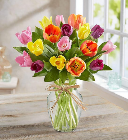 20 Mixed Tulips 